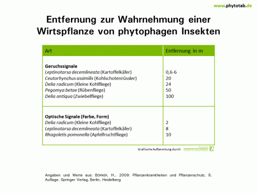 Entfernung zur Wahrnehmung einer Wirtspflanze von phytophagen Insekten - Arthropoden, Epidemiologie/Populationsdynamik , Wirt-Parasit-Beziehungen - Arthropoden, Epidemiologie/Populationsdynamik, Insekten, Wirt-Parasit-Beziehungen