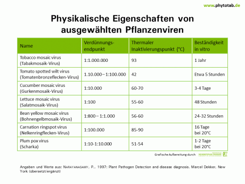 Bild anklicken (=groß), dann mit rechter Maustaste kopieren und direkt formatfüllend in Power Point einfügen Physikalische Eigenschaften von ausgewählten Pflanzenviren - Viren - Viren