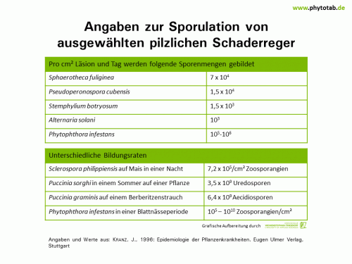 Angaben zur Sporulation von ausgewählten pilzlichen Schaderreger - Epidemiologie/Populationsdynamik , Pilze - Epidemiologie/Populationsdynamik, Pilze, Sporulation