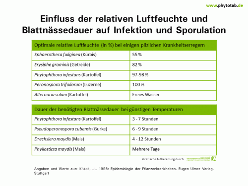 Bild anklicken (=groß), dann mit rechter Maustaste kopieren und direkt formatfüllend in Power Point einfügen Einfluß der relativen Luftfeuchte und Blattnässedauer auf Infektion und Sporulation - Epidemiologie/Populationsdynamik , Pilze - Epidemiologie/Populationsdynamik, Pilze, Sporulation