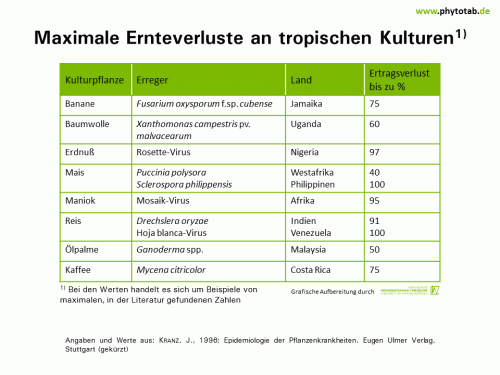 Maximale Ernteverluste an tropischen Kulturen - Historie/Bedeutung  - Ertragsverluste, Historie/Bedeutung