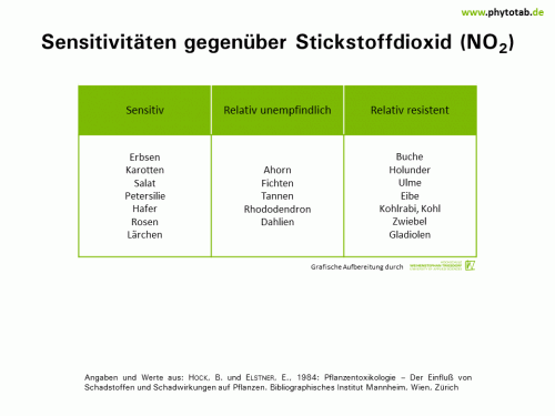 Bild anklicken (=groß), dann mit rechter Maustaste kopieren und direkt formatfüllend in Power Point einfügen Sensitivitäten gegenüber Stickstoffdioxid (NO<sub>2</sub>) - Abiotische Schadursachen - Abiotische Schadursachen, Stickstoffdioxid