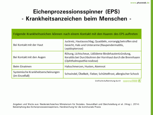 Eichenprozessionsspinner (EPS) - Krankheitsanzeichen beim Menschen - - Arthropoden, Käfer/Schmetterlinge - Arthropoden, Eichenprozessionsspinner, Käfer/Schmetterlinge