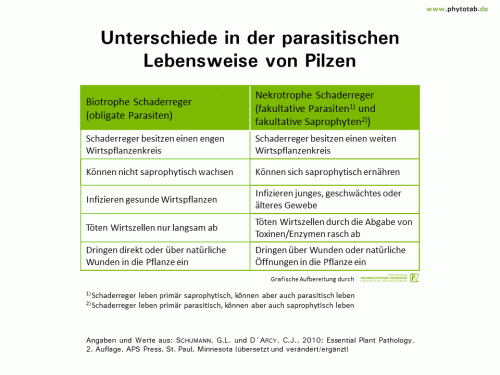 Unterschiede in der parasitischen Lebensweise von Pilzen - Pilze, Wirt-Parasit-Beziehungen - Parasiten, Pilze, Saprophyten, Wirt-Parasit-Beziehungen