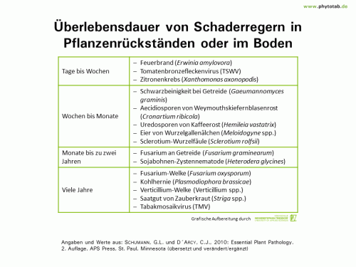 Bild anklicken (=groß), dann mit rechter Maustaste kopieren und direkt formatfüllend in Power Point einfügen Überlebensdauer von Schaderregern in Pflanzenrückständen oder im Boden - Epidemiologie/Populationsdynamik - Bakterien, Epidemiologie/Populationsdynamik, Nematoden, Pilze, Viren