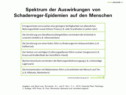 Spektrum der Auswirkungen von Schaderreger-Epidemien auf den Menschen - Historie/Bedeutung  - Historie/Bedeutung