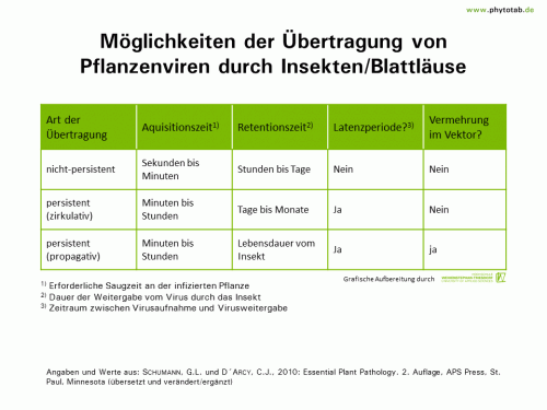 Möglichkeiten der Übertragung von Pflanzenviren durch Insekten/Blattläuse - Arthropoden, Viren, Wirt-Parasit-Beziehungen - Arthropoden, Blattläuse, Übertragung, Viren, Wirt-Parasit-Beziehungen