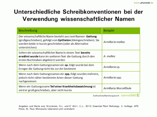 Bild anklicken (=groß), dann mit rechter Maustaste kopieren und direkt formatfüllend in Power Point einfügen Unterschiedliche Schreibkonventionen bei der Verwendung wissenschaftlicher Namen - Symptomatik/Diagnostik - Pilze, Symptomatik/Diagnostik
