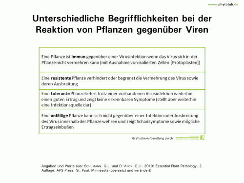 Unterschiedliche Begrifflichkeiten bei der Reaktion von Pflanzen gegenüber Viren - Viren, Wirt-Parasit-Beziehungen - Resistenz, Viren, Wirt-Parasit-Beziehungen