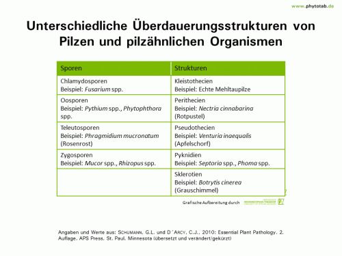 Unterschiedliche Überdauerungsstrukturen von Pilzen und pilzähnlichen Organismen - Epidemiologie/Populationsdynamik , Pilze - Chlamydospore, Epidemiologie/Populationsdynamik, Kleistothecien, Pilze, Sklerotien