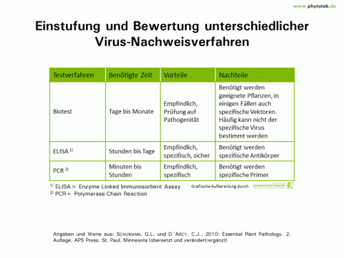 Bild anklicken (=groß), dann mit rechter Maustaste kopieren und direkt formatfüllend in Power Point einfügen Einstufung und Bewertung unterschiedlicher Virus-Nachweisverfahren - Symptomatik/Diagnostik, Viren - ELISA, PCR, Symptomatik/Diagnostik, Viren