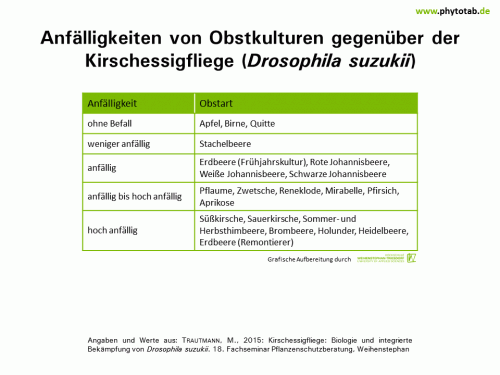 Anfälligkeiten von Obstkulturen gegenüber der Kirschessigfliege (Drosophila suzukii) - Arthropoden, Hautflügler/Zweiflügler, Wirt-Parasit-Beziehungen - Arthropoden, Drosophila, Hautflügler/Zweiflügler, Kirschessigfliege, Wirt-Parasit-Beziehungen