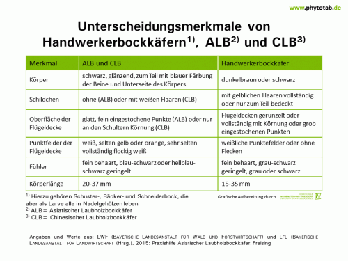 Unterscheidungsmerkmale von Handwerkerbockkäfern, ALB und CLB - Arthropoden, Käfer/Schmetterlinge, Symptomatik/Diagnostik - ALB, Arthropoden, Käfer/Schmetterlinge, Symptomatik/Diagnostik