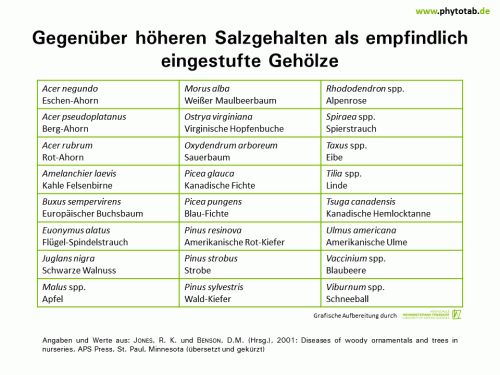 Bild anklicken (=groß), dann mit rechter Maustaste kopieren und direkt formatfüllend in Power Point einfügen Gegenüber höheren Salzgehalten als empfindlich eingestufte Gehölze - Abiotische Schadursachen - Abiotische Schadursachen, Salzschäden