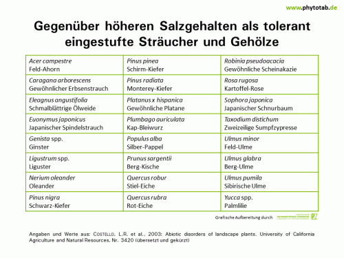 Bild anklicken (=groß), dann mit rechter Maustaste kopieren und direkt formatfüllend in Power Point einfügen Gegenüber höheren Salzgehalten als tolerant eingestufte Sträucher und Gehölze - Abiotische Schadursachen - Abiotische Schadursachen, Salzschäden