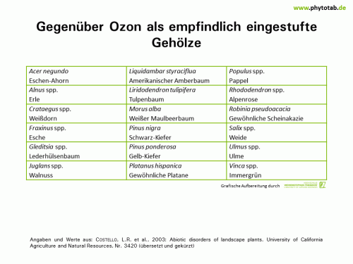 Bild anklicken (=groß), dann mit rechter Maustaste kopieren und direkt formatfüllend in Power Point einfügen Gegenüber Ozon als empfindlich eingestufte Gehölze - Abiotische Schadursachen - Abiotische Schadursachen, Luftschadstoffe, Ozon
