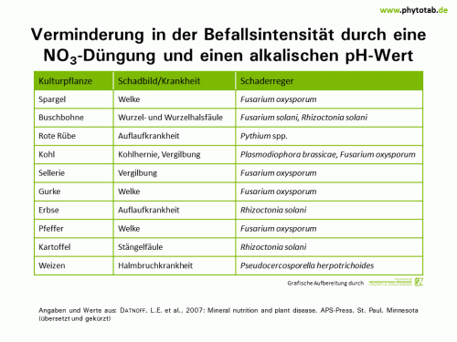 Bild anklicken (=groß), dann mit rechter Maustaste kopieren und direkt formatfüllend in Power Point einfügen Verminderung in der Befallsintensität durch eine NO3-Düngung und einen alkalischen pH-Wert - Epidemiologie/Populationsdynamik , Pilze - Düngung, Epidemiologie/Populationsdynamik, Nitrat, pH-Wert, Pilze