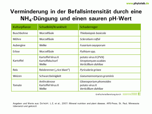 Bild anklicken (=groß), dann mit rechter Maustaste kopieren und direkt formatfüllend in Power Point einfügen Verminderung in der Befallsintensität durch eine NH4-Düngung und einen sauren pH-Wert - Epidemiologie/Populationsdynamik , Pilze - Ammonium, Düngung, Epidemiologie/Populationsdynamik, pH-Wert, Pilze