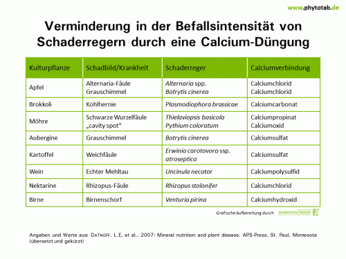 Verminderung in der Befallsintensität von Schaderregern durch eine Calcium-Düngung - Bakterien, Epidemiologie/Populationsdynamik , Pilze - Bakterien, Calcium, Düngung, Epidemiologie/Populationsdynamik, Pilze