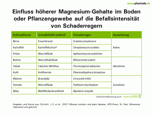 Einfluss höherer Magnesium-Gehalte im Boden oder Pflanzengewebe auf die Befallsintensität von Schaderregern - Bakterien, Epidemiologie/Populationsdynamik , Pilze - Bakterien, Düngung, Epidemiologie/Populationsdynamik, Magnesium, Pilze