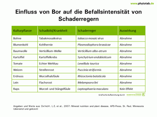 Einfluss von Bor auf die Befallsintensität von Schaderregern - Bakterien, Epidemiologie/Populationsdynamik , Pilze, Viren - Bakterien, Bor, Düngung, Epidemiologie/Populationsdynamik, Pilze, Viren