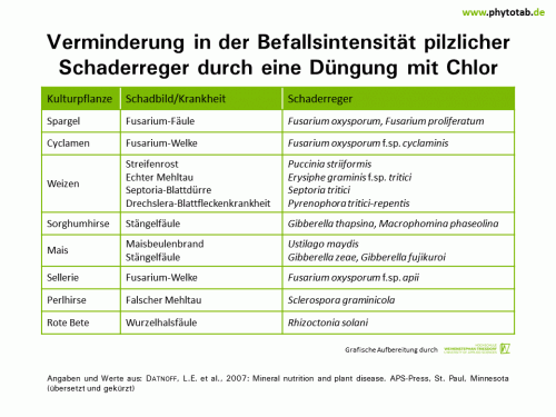 Verminderung in der Befallsintensität pilzlicher Schaderreger durch eine Düngung mit Chlor - Epidemiologie/Populationsdynamik , Pilze - Chlor, Düngung, Epidemiologie/Populationsdynamik, Pilze