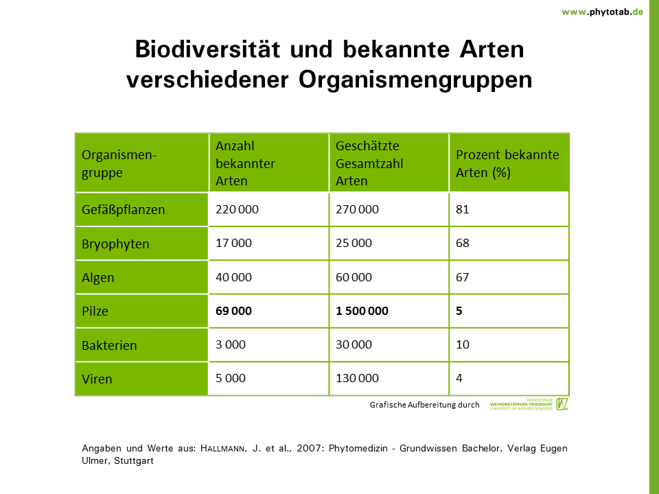 Phytotab Tabellen Der Kategorie Viren