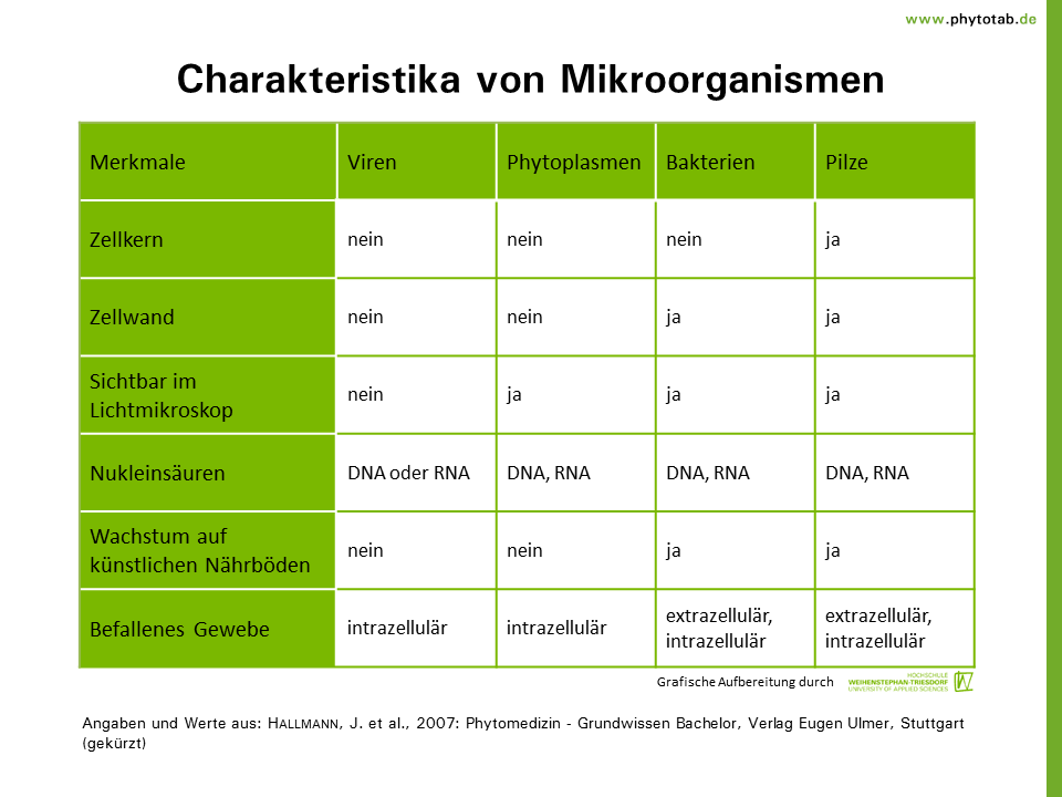 Phytotab Tabellen Der Kategorie Viren