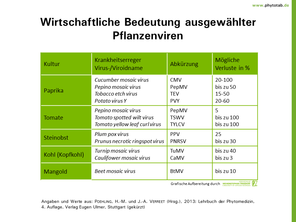 egutachten.de